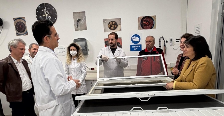 İhtisaslaşma Projeleri Kapsamında Kurulan Tıbbi Sülük Ünitesi Ruhsatlandırıldı