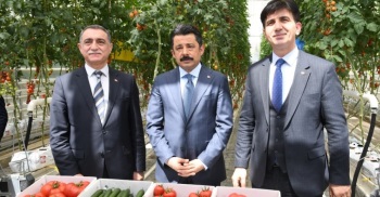 Kop Destekli Sera Projesi Türkiye’De İlk Ve Tek Ges Destekli Hidrosera’Nın Tanıtımı Üniversitemizde Gerçekleştirildi