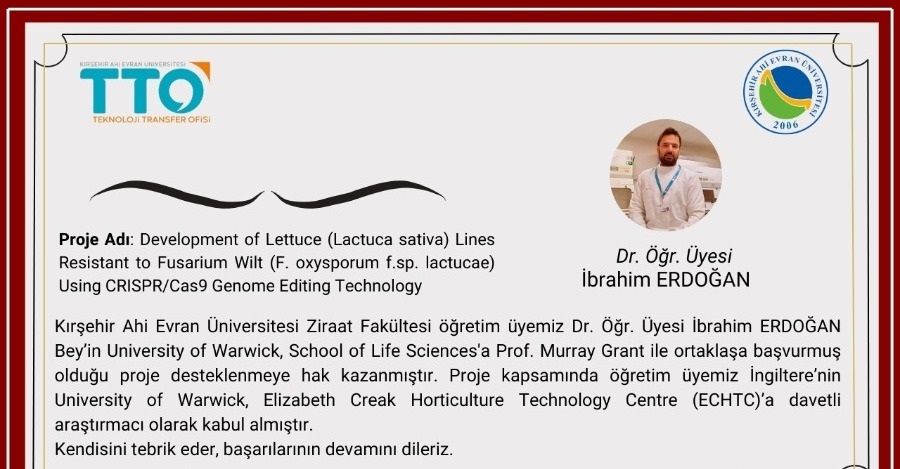 Akademisyenimizden Başarı