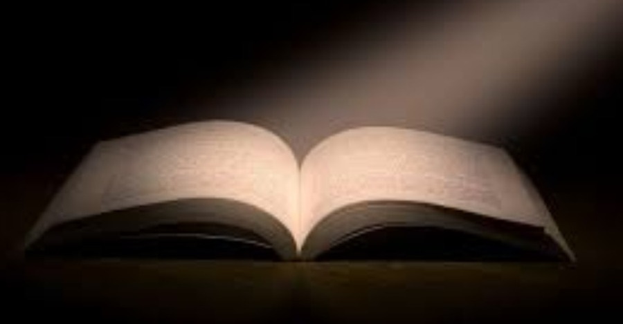 2025 Yılında Kütüphane Dermesine 11810 Adet Basılı Yayın Eklenmiştir.