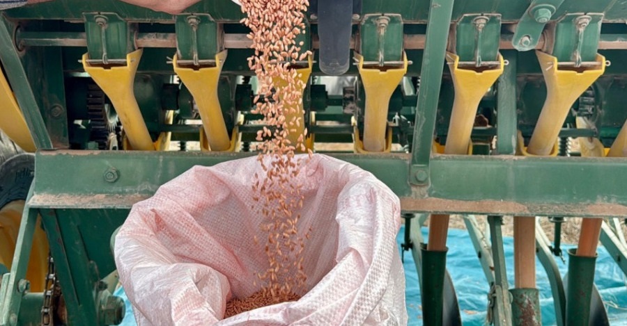 Üniversitemiz Ortaklığında 25 Çeşit Yerli Tahıl Ürünü Toprakla Buluşturuldu