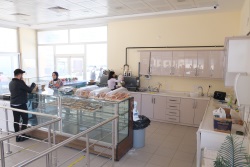 Sağlık, Kültür ve Spor Daire Başkanlığı