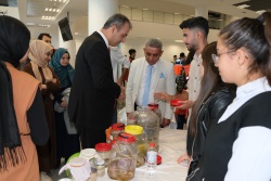 Sağlık, Kültür ve Spor Daire Başkanlığı