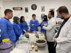 Bölgesel Kalkınma Odaklı Jeotermal Sağlık İhtisaslaşma Koordinatörlüğü