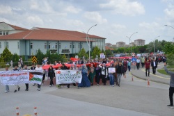 Toplumsal Katkı Koordinatörlüğü