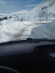 Sağlık, Kültür ve Spor Daire Başkanlığı