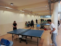 Sağlık, Kültür ve Spor Daire Başkanlığı