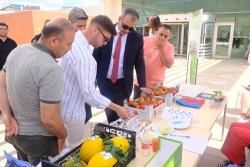 Sağlık, Kültür ve Spor Daire Başkanlığı