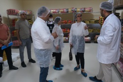 Sağlık, Kültür ve Spor Daire Başkanlığı