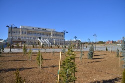 Kütüphane ve Dokümantasyon Daire Başkanlığı