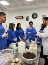 Bölgesel Kalkınma Odaklı Jeotermal Sağlık İhtisaslaşma Koordinatörlüğü