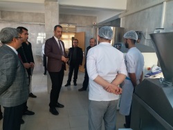 Sağlık, Kültür ve Spor Daire Başkanlığı