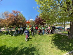 Toplumsal Katkı Koordinatörlüğü