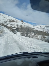 Sağlık, Kültür ve Spor Daire Başkanlığı